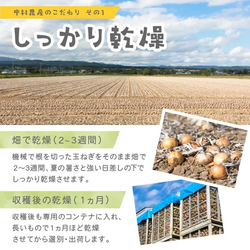 【予約：2026年10月から順次発送】北海道北見産 玉ねぎ 5kg ( 玉ねぎ 野菜 たまねぎ タマネギ 玉葱 甘い ハンバーグ 肉じゃが ふるさと納税 玉ねぎ )【002-0008-2026】