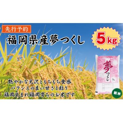 ふるさと納税 那珂川市 【令和7年産新米・先行予約】【食味鑑定士厳選】福岡県産 夢つくし5kg(5kg×1袋)(那珂川市)