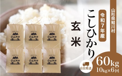 ＜令和7年産米＞ 鮭川村 こしひかり 【玄米】 60kg定期便 （10kg×6回発送）＜配送時期選べます＞