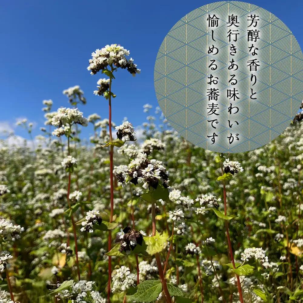 【積丹町そば】20人前≪麺260g×つゆ120g×10セット≫　年越しそば 国産 積丹産 蕎麦 冷凍（SN014）