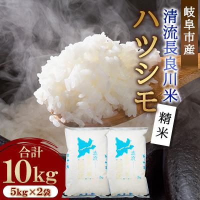 ふるさと納税 岐阜市 岐阜市産 ハツシモ 清流長良川米 精米 10kg(5kg×2袋)