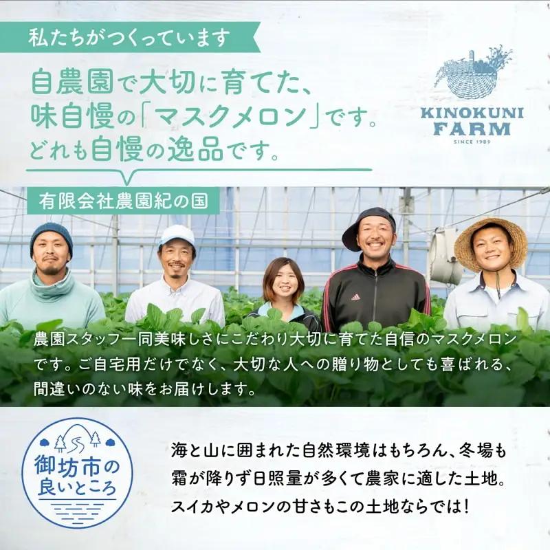 農園自慢の『マスクメロン』（アールスメロン）大玉×2玉入り《先行予約》2027年6月下旬から順次発送【0264-5】
