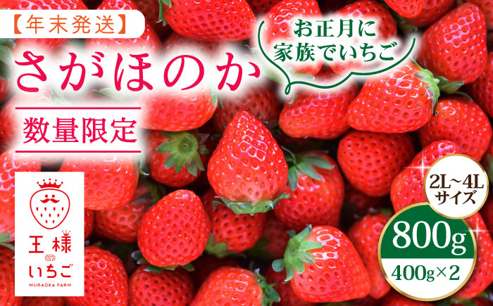 
【先行予約】【農薬0への挑戦】【年末発送】王様のいちご さがほのか 800g（400g×2箱）【むらおか農園】 [HAF029]
