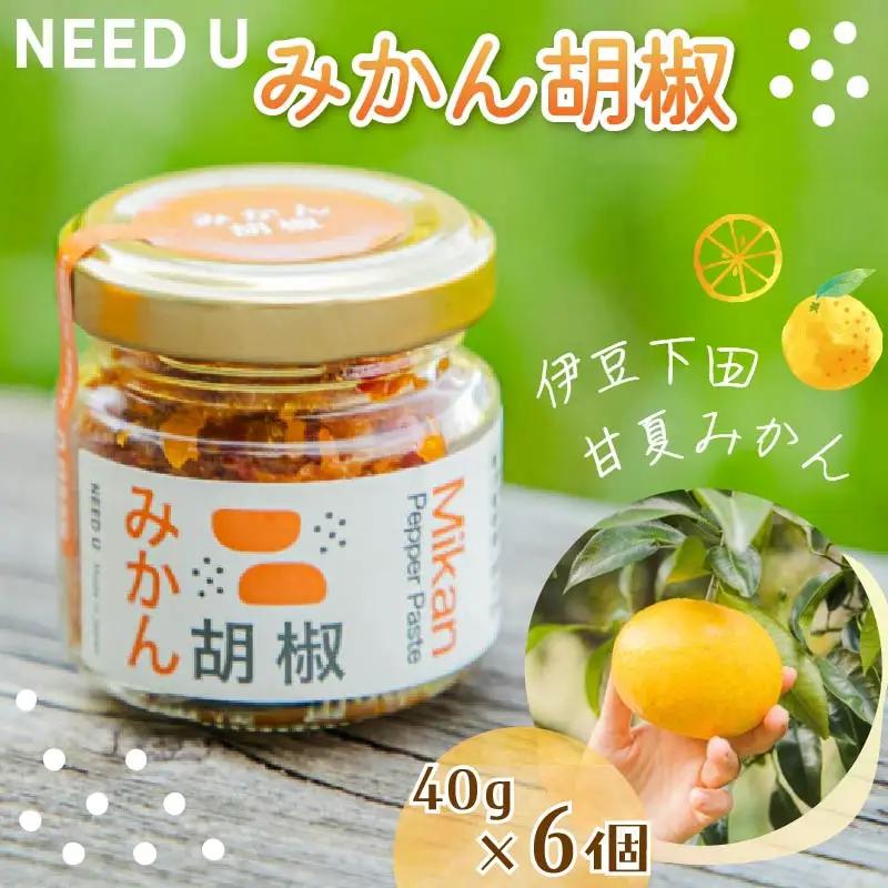 胡椒 NEED U みかん胡椒 6個 みかん 伊豆 下田 静岡 調味料