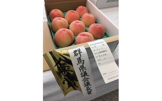 
            鉢育ち 濃厚甘美な桃 3kg｜先行予約 数量限定 期間限定 桃 フルーツ 果物 産地直送 限定品 贈り物 新鮮 お取り寄せ デザート ギフト 風味豊か 香り 甘い 限定 果樹 フルーツ 旬 ジューシー みずみずしい 季節のフルーツ 前橋市 群馬県
          