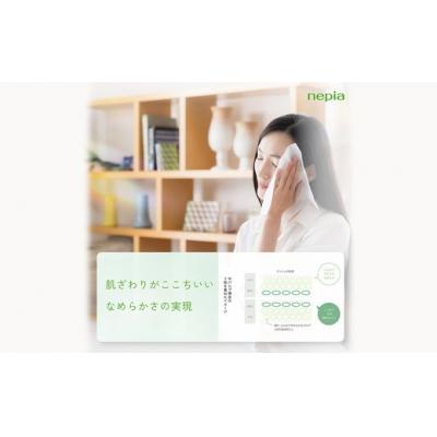 ふるさと納税 春日井市 【定期便】2回発送 (3か月おきに) ネピアティシュ 5箱×12パック |  | 03