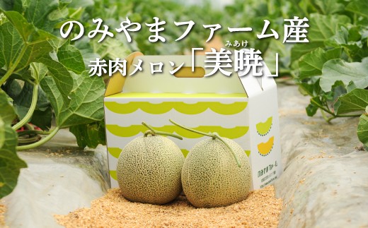 
                  《2027年分受付中》≪数量限定！≫のみやまファームの赤肉メロン「美暁」（各1.6kg以上を2玉） | ふるさと納税 北海道 三笠 メロン ２玉 フルーツ  果物 デザート グルメ 旬 贈り物 お取り寄せ ワンストップ マイページ のみやまファーム 三笠市【65002AA0101】
                