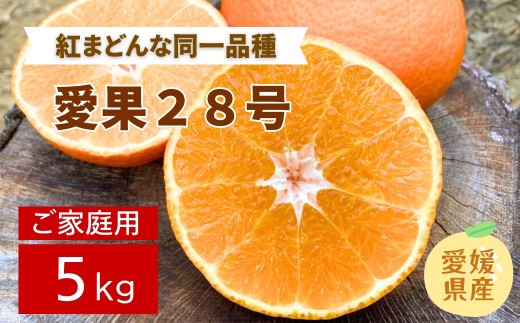 【2026年先行予約】みかん 愛媛 愛果28号 5kg ご家庭用 2L〜4L 大玉 紅まどんなと同一品種 人気 数量限定 先行予約 柑橘 伊予市 【2026年11月下旬から順次発送予定】｜B83