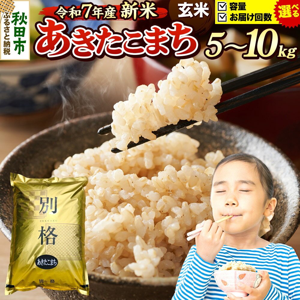 【ふるさと納税】《令和7年産 新米》《選べる容量×お届け回数》 米 あきたこまち 5kg・10kg（5kg小分け袋） 【玄米】 秋田県産