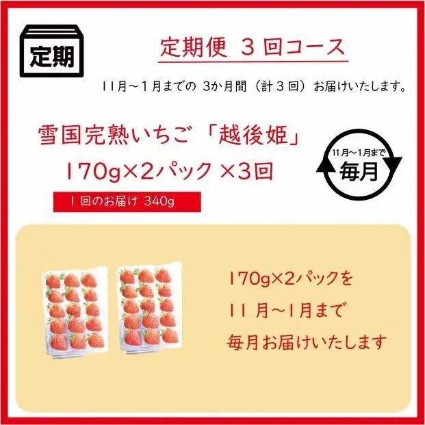 先行予約  定期便 3回【11～1月発送】いちごの定期配送 雪国完熟いちご越後姫170g×2全3回 越後姫 いちご 定期便 完熟 苺の花ことば