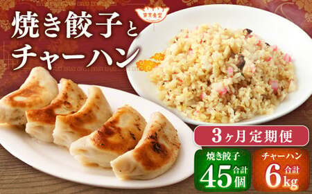 【3ヶ月定期便】東京食堂のチャーハンと焼き餃子（各5パック×3回）合計30パック 2種 セット 冷凍 餃子 ぎょうざ ギョウザ 炒飯