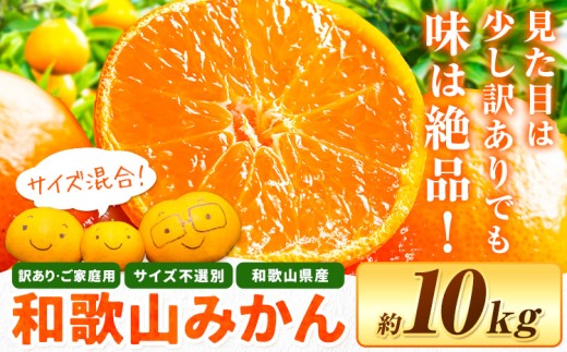 【先行予約】和歌山県産 訳あり みかん(3S～3L) 約10kg《11月上旬-12月末頃に発送(土日祝を除く)》 和歌山県 日高川町 柑橘類 柑橘 果物 フルーツ ミカン 訳ありみかん 家庭用 お取り寄せフルーツ みかん 大容量