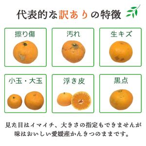 シーズン一番採り 極早生みかん 大玉9kg【訳あり】【C25-74】【1148854】 YWTAP041