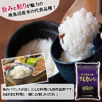 ふるさと納税 南魚沼市 【先行受付】南魚沼産コシヒカリ10kg<2025年11月上旬発送開始予定> |  | 01