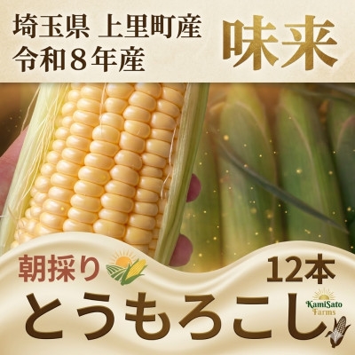 
                  2026年先行予約　とうもろこし　味来　2Lサイズ×12本　計5kg(梱包込み)【1564847】
                