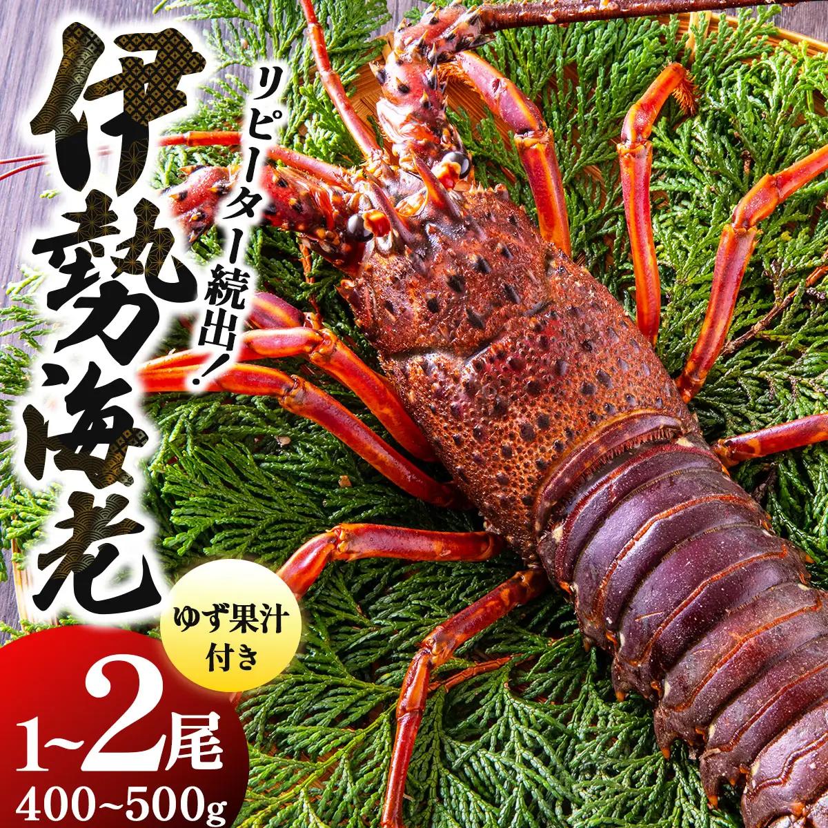 リピーター続出！伊勢海老 400～500g（1～2尾）