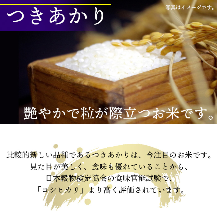 【令和7年産】 新米 11月中旬発送開始予定 つきあかり 玄米 5kg×6ヶ月定期便 ／ 中沢農産 こめ 米 コメ お米 おこめ ご飯 ごはん げんまい