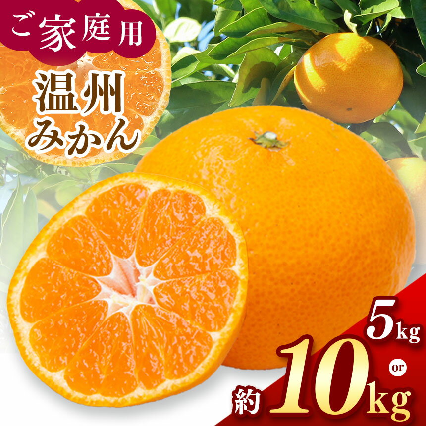 【ふるさと納税】みかん 選べる 5kg or 10kg ご家庭用 温州みかん ミカン 訳あり 大小混合 キズ擦れあり 村上農園 5キロ 10キロ 生産者直送 玉名 熊本 送料無料