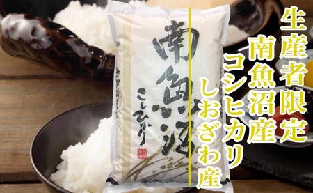 【新米予約・令和6年産】定期便12ヶ月：精米5kg生産者限定 南魚沼しおざわ産コシヒカリ