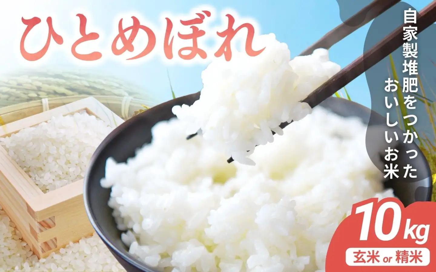 【先行予約】令和8年産 宮城県涌谷町産 ひとめぼれ 10kg＜玄米＞※2026年11月上旬以降に順次発送予定【saito004】