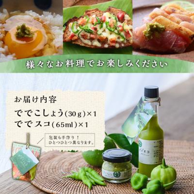 ふるさと納税 肝付町 【先行受付中】「ででこしょう」&「ででスコ」　P60001 |  | 01