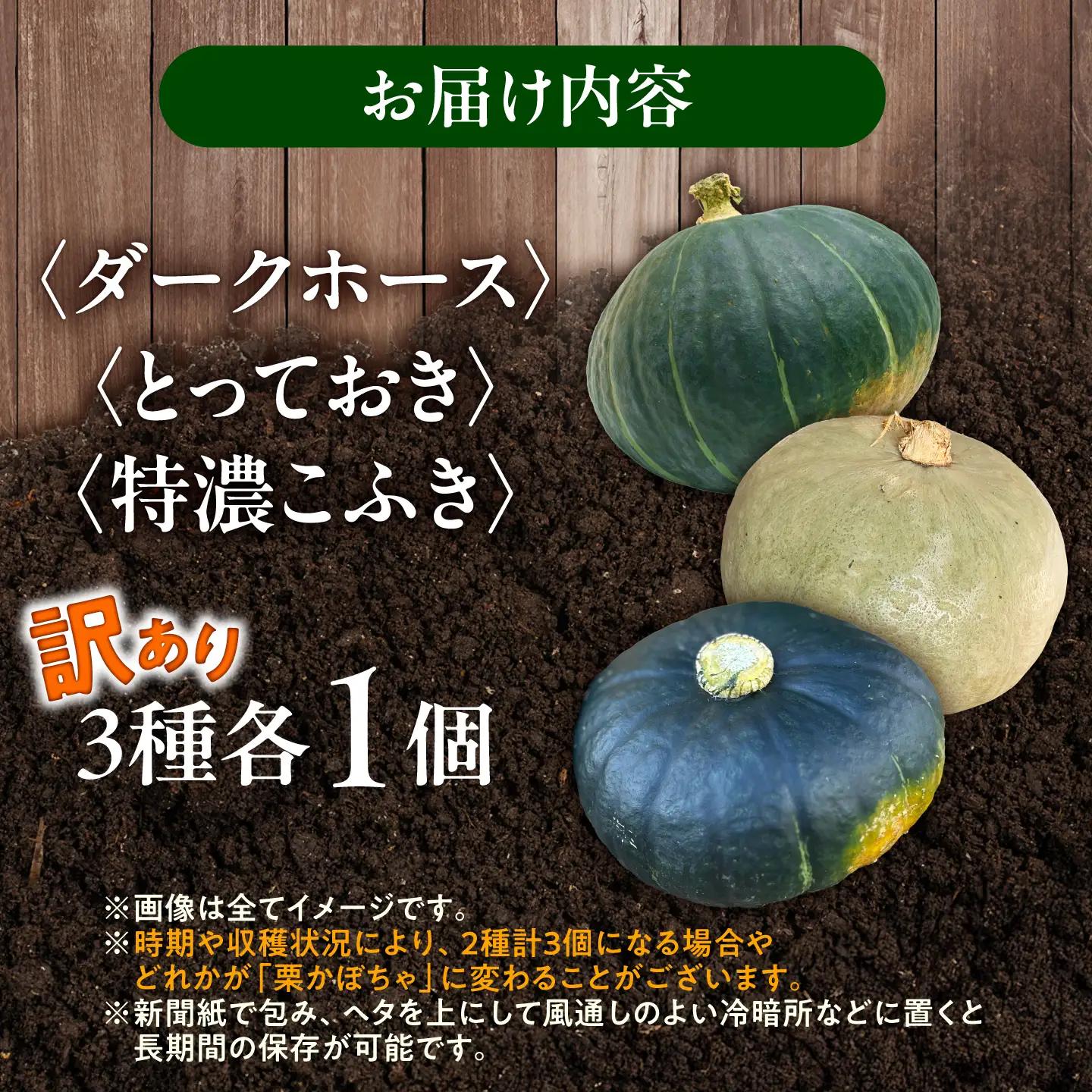 【先行予約】北海道 かぼちゃ 訳あり ダークホース・とっておき・特濃こふき 3種類×1個 【9月中旬以降発送】足寄町/足寄アグリバイオ株式会社 [BEAC014]