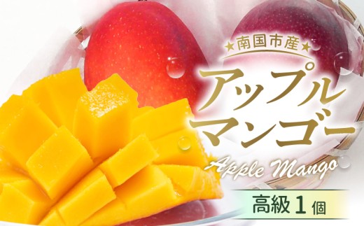 【先行予約】 完熟アップルマンゴー1個 (2027年6月～発送) | マンゴー フルーツ くだもの デザート 高評価 厳選 高級 ギフト 贈り物 人気 おすすめ アップルマンゴー まんごー フルーツ 果物 季節限定 期間限定 食品 西島園芸団地 高知県 南国市