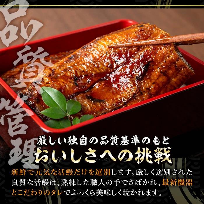 ＜丑の日先行予約受付中！＞鹿児島県産うなぎきざみ蒲焼セット (200g×5袋) 鰻 かばやき 冷凍【西日本養鰻】B176-U