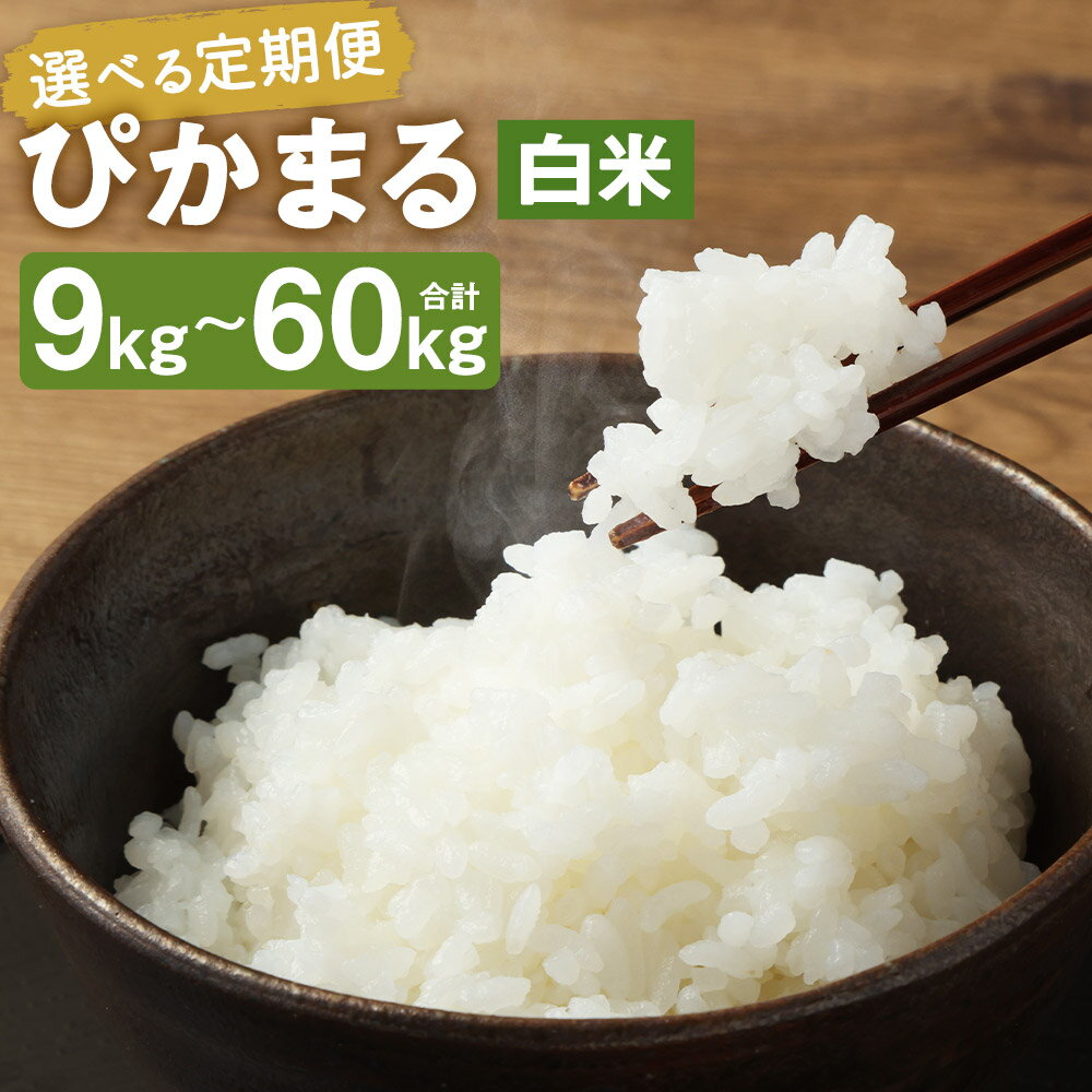 【ふるさと納税】【選べる定期便】【新米先行予約】低アミロース米 ぴかまる 白米 3kg/5kg 3ヶ月定期便/6ヶ月定期便/12ヶ月定期便 選べる内容量 保存袋付き お米 精米 栽培期間中無農薬 九州産 福岡県産 送料無料【2025年11月上旬より順次発送予定】