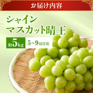 ぶどう 2026年 先行受付 シャインマスカット 晴王 秀品 大房 約5kg(5～9房) 岡山