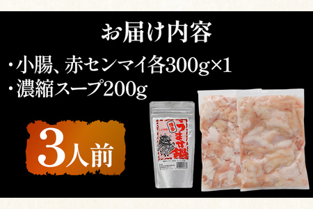 訳あり 博多もつ鍋 醤油味 もつ ホルモン 小腸 赤センマイ 鍋セット もつ鍋 モツ鍋 鍋 内臓肉 ギアラ 3人前 牛 国産牛 モツ お土産 美味しい 福岡県 グルメ お取り寄せ 牛もつ