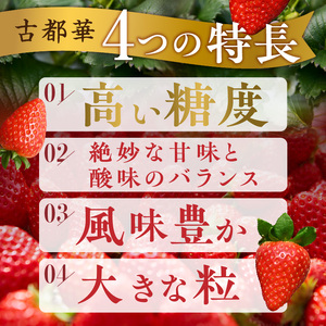 【2027年2月～3月発送】完熟「古都華」奈良ブランドいちご3L～Mサイズ6パック　先行予約 ことか 甘い 糖度 濃い 濃厚 果汁 香り 朝摘み いちご イチゴ 苺 フルーツ 果物 くだもの ご褒美 