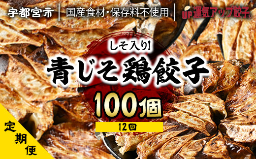 
『定期便』宇都宮餃子　香り鮮やか青じそ鶏餃子100個　保存料不使用　全12回【配送不可地域：離島】
