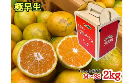 
                  ちょっと傷あり【極早生・有田みかん】M～SSサイズ 約2kg_ZF6304n
                