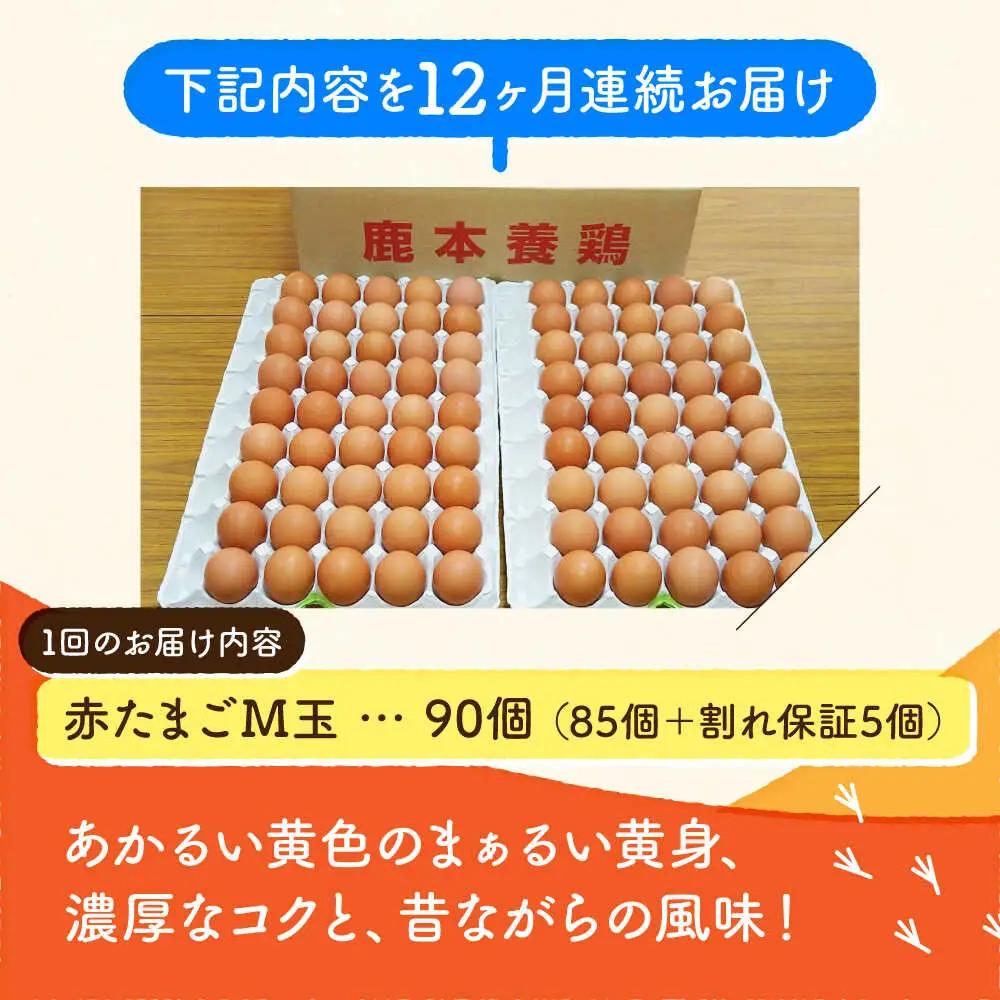 【全12回定期便】赤たまご M玉 90個（85個＋5個割れ保証）【株式会社 かもと養鶏】タマゴ 玉子 熊本県 卵 国産 新鮮 あかたまご M玉  濃厚   [ZCA016]