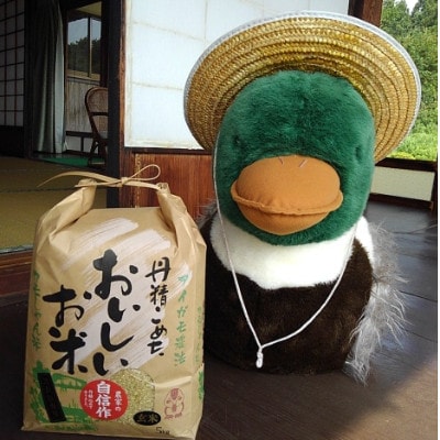 【毎月定期便】コシヒカリ (玄米)カモしゃん米　5kg全6回
