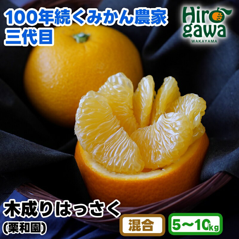 【ふるさと納税】 木成り はっさく 5kg ～ 10kg サイズ混合 / 八朔 完熟 甘い 和歌山 柑橘 10000円 ※2027年3月中旬〜4月上旬に順次発送 //hassaku