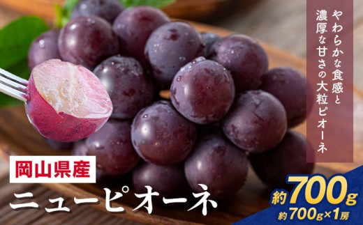 【2026年先行予約】 岡山県産 ニューピオーネ詰合せ 選べる 計 700g 株式会社はちや《2026年6月下旬‐7月下旬頃出荷》岡山県 浅口市 ぶどう 葡萄 フルーツ ギフト 果物 デザート 国産 送料無料【配送不可地域あり】