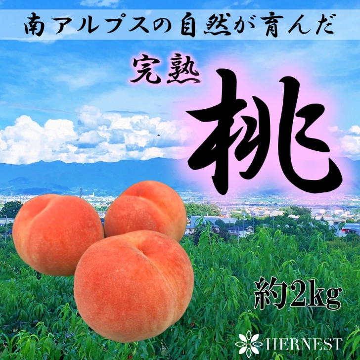 
            ＜2025年発送分先行予約＞山梨県南アルプス市産　高糖度　桃　【約2ｋｇ　5～8玉】 ALPAH021
          