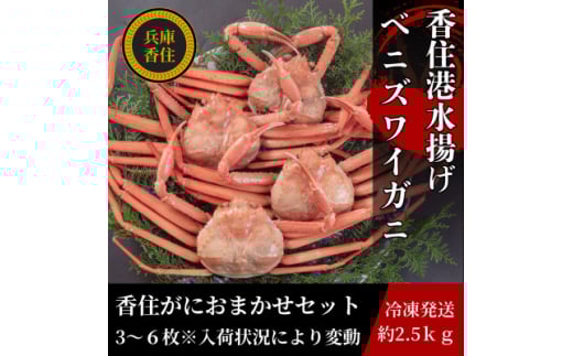 香住がに　おまかせセット　約2.5kg(3～6枚)【1606120】