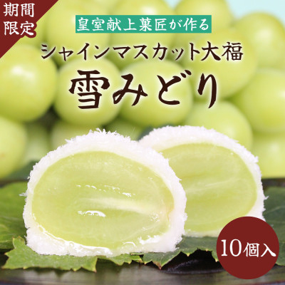 
            ＜2026年先行受付＞山梨県産シャインマスカットのフルーツ大福「雪みどり」10個入 皇室献上菓匠【1041050】
          