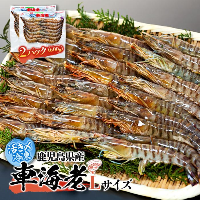 【ふるさと納税】鹿児島県産 活き〆冷凍 車海老（養殖）Lサイズ 計600g（300g 14～16尾2パック）セット | エビ 海老 送料無料 屋久島 屋久島町 鹿児島 鹿児島県 九州 海鮮 エビフライ エビチリ 魚介類 冷凍 お取り寄せ オススメ