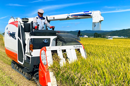 【定期便6ヶ月】【令和5年産新米】【特別栽培米】鈴木・ファーム「はえぬき」5kg×1袋×6ヶ月_A141(R5)