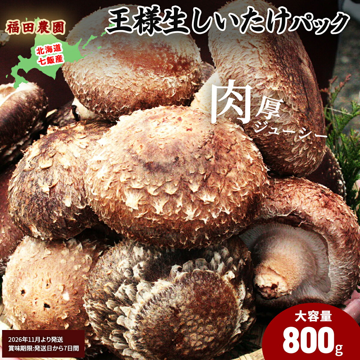【ふるさと納税】【先行予約】【2026年11月より発送】有機JAS認証 王様生しいたけ 大容量800g 北海道 七飯町産 福田農園の肉厚ジューシーオーガニック椎茸 旬 秋