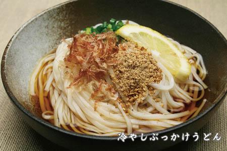 さっとできてさっと食べられる ささっとうどん 10入 【うどん 乾麺 佐賀県産 簡単】(H014139)