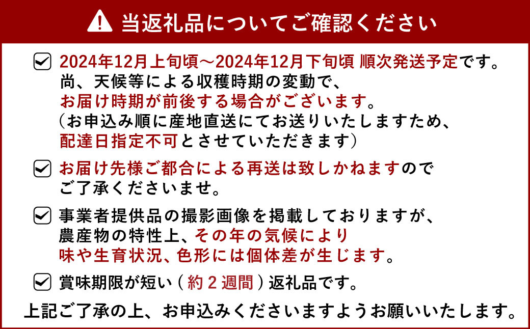 山口さん家の尾崎みかん 約5kg 【12月上旬から12月下旬発送予定】