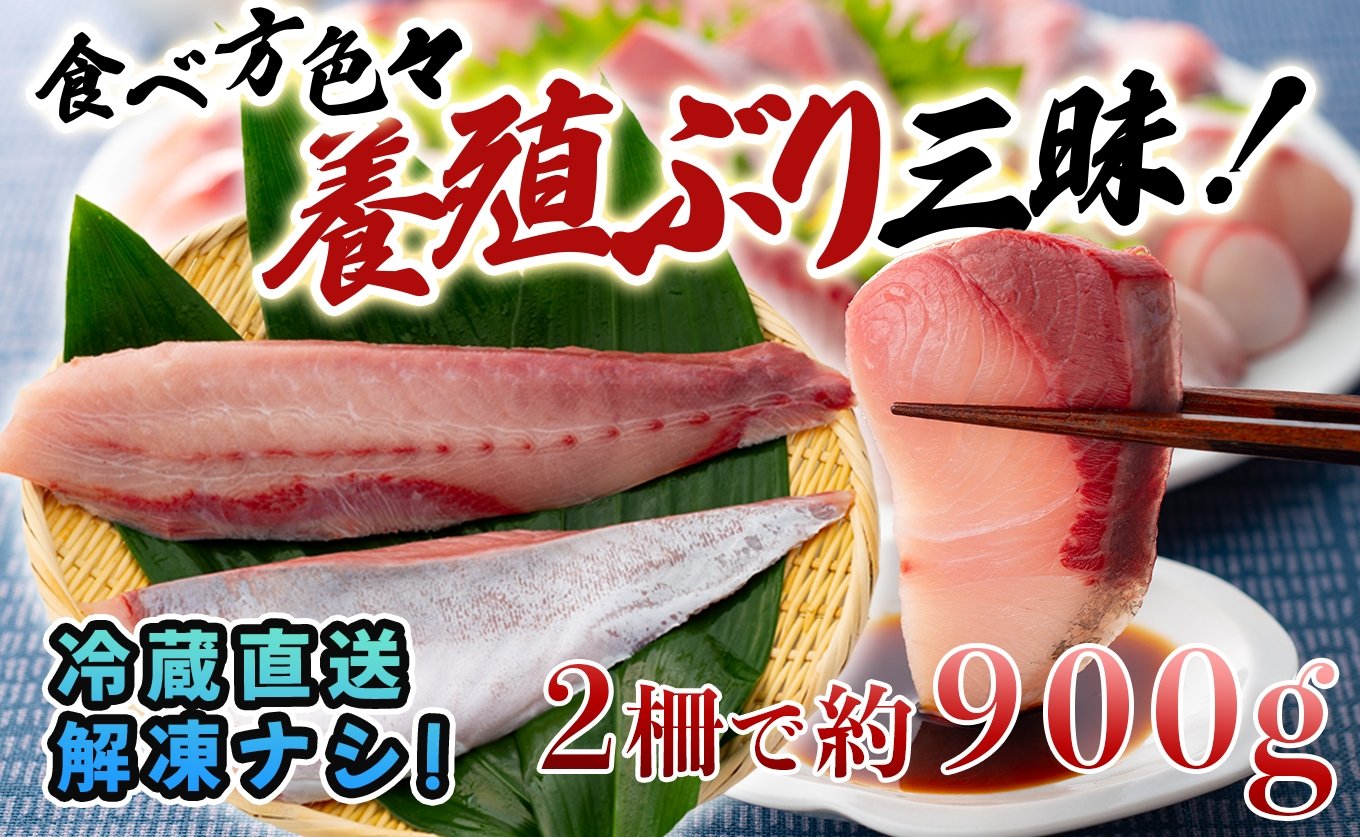 
            【12/23までの寄付で年内配送】 ブリ 鰤 ぶり 2柵 約900g セット 刺身 お刺身 さしみ ブリしゃぶ 煮つけ ぶり大根 鍋 丼 寿司 カルパッチョ 料理 海鮮 養殖 冷蔵 新鮮 真空パック 年末 正月 贈答 お歳暮 産地直送 高知県 大月町
          