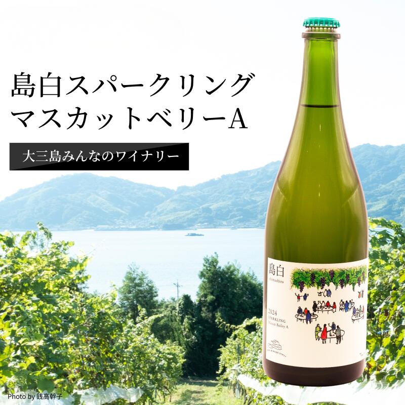 【ふるさと納税】【数量限定】島白スパークリング＜750ml＞【V003320】ふるさと納税 今治市 今治 大三島 今治産 お酒 洋酒 果実酒 ワイン スパークリングワイン ワイン好き 爽やか ギフト プレゼント ワイナリー 伊東豊雄 大三島みんなのワイナリー