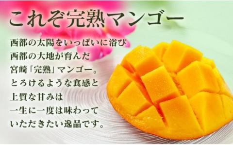 【ANA限定】西都産完熟マンゴーL×4個（約1.2ｋｇ）酒井農園《先行予約》＜1.7-6＞