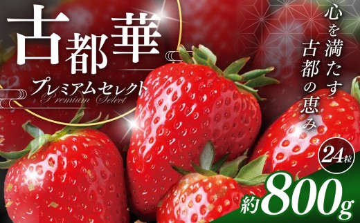 先行予約 苺 奈良県産 古都華 プレミアムセレクト 24粒入り